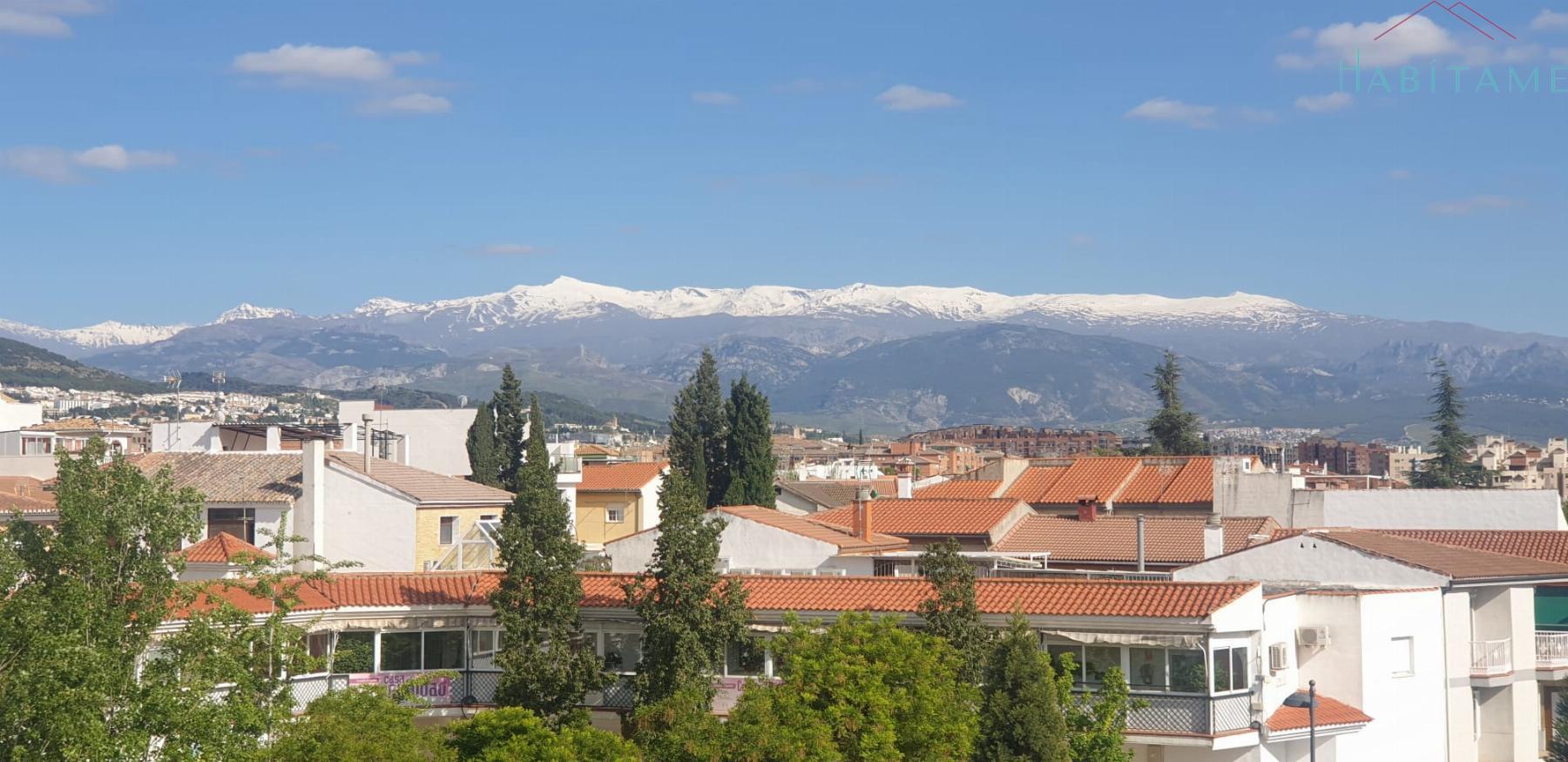 Vistas