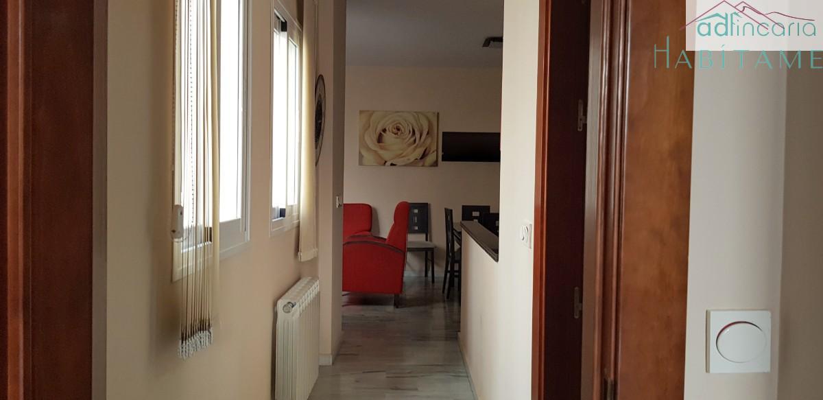 Alquiler de apartamento en Granada