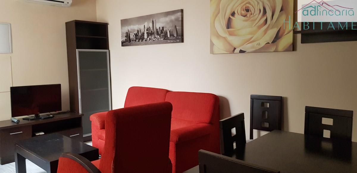 Alquiler de apartamento en Granada