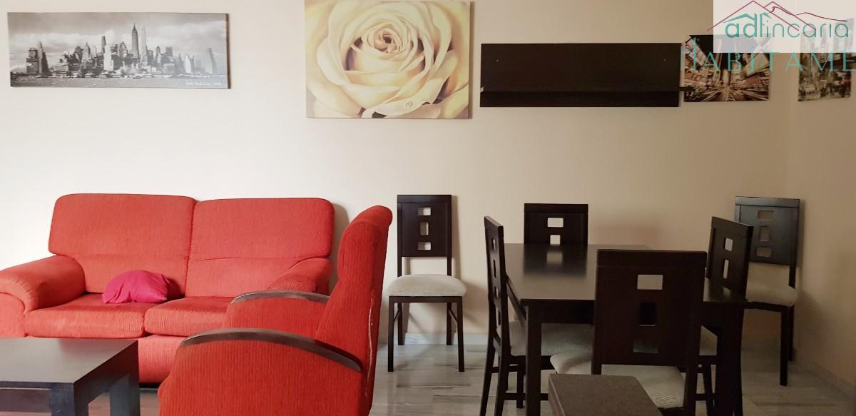 Alquiler de apartamento en Granada