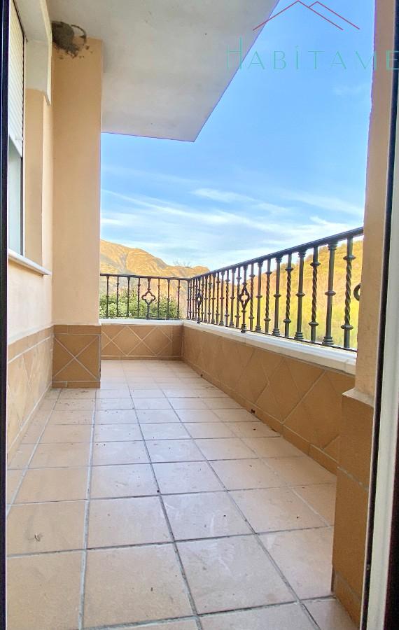 Terraza Terraza