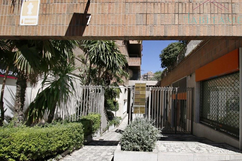 Jardín
