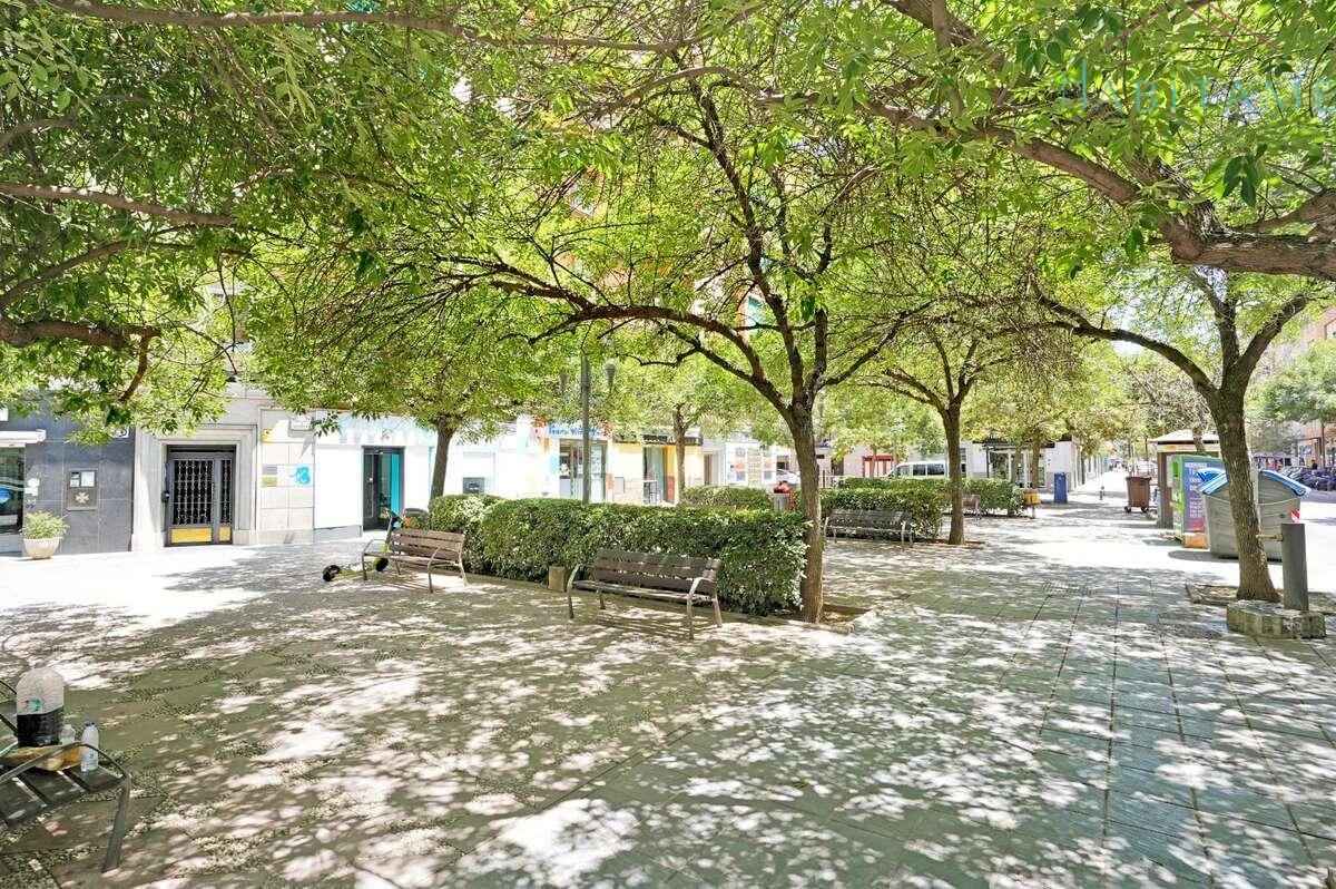 Surroundings