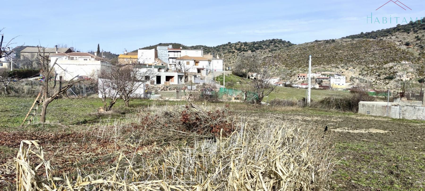 Surroundings