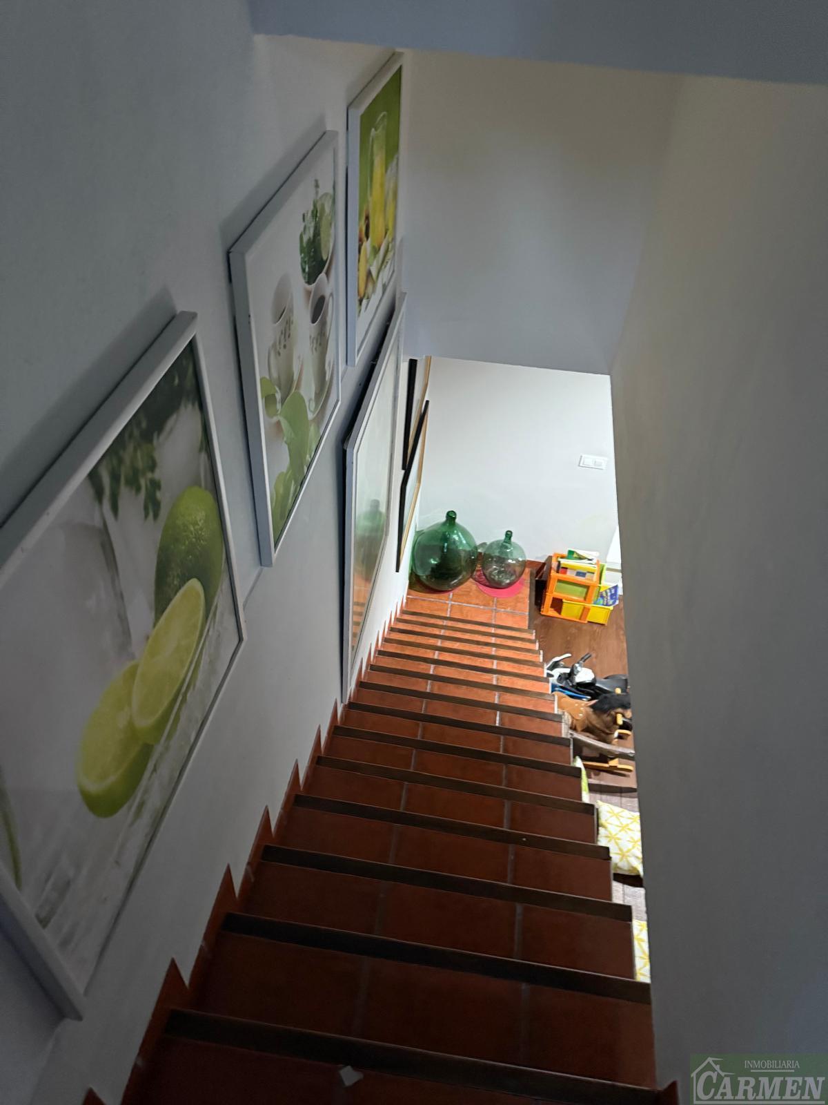 Venta de finca de recreo en El Bosque