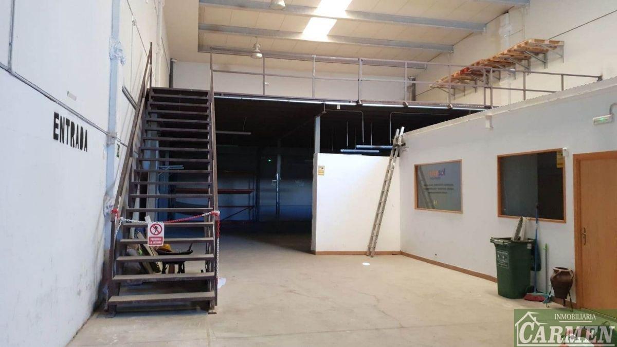 For sale of warehouse in Jerez de la Frontera