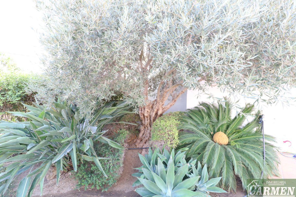 Venta de chalet en Jerez de la Frontera