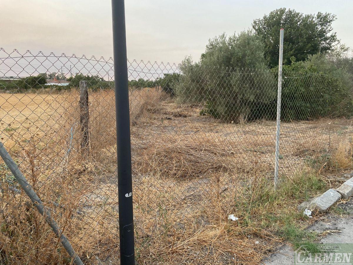 Venta de terreno en Jerez de la Frontera