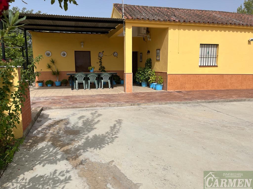 For sale of house in San José del Valle