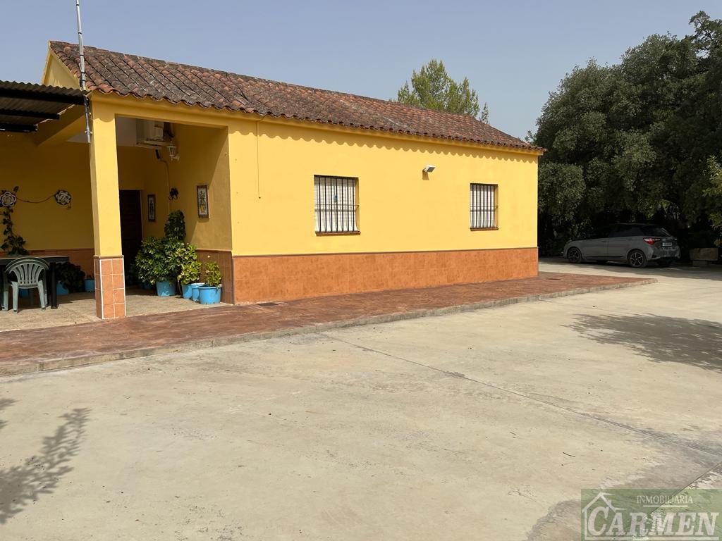 For sale of house in San José del Valle