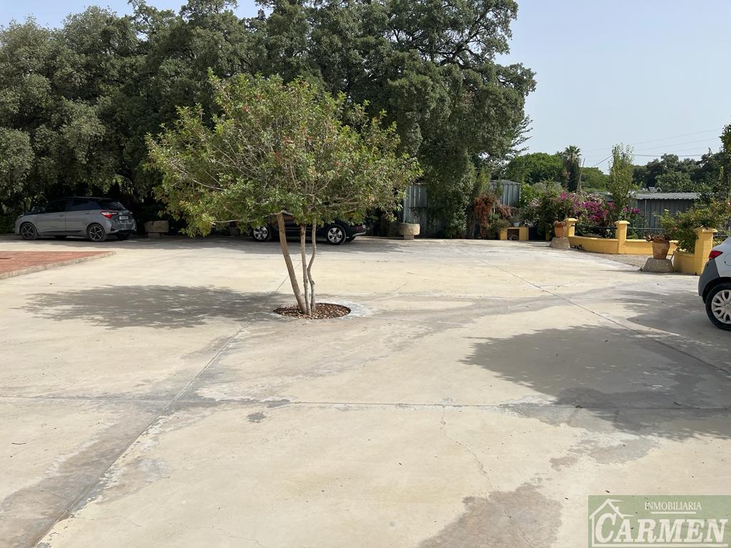 For sale of house in San José del Valle