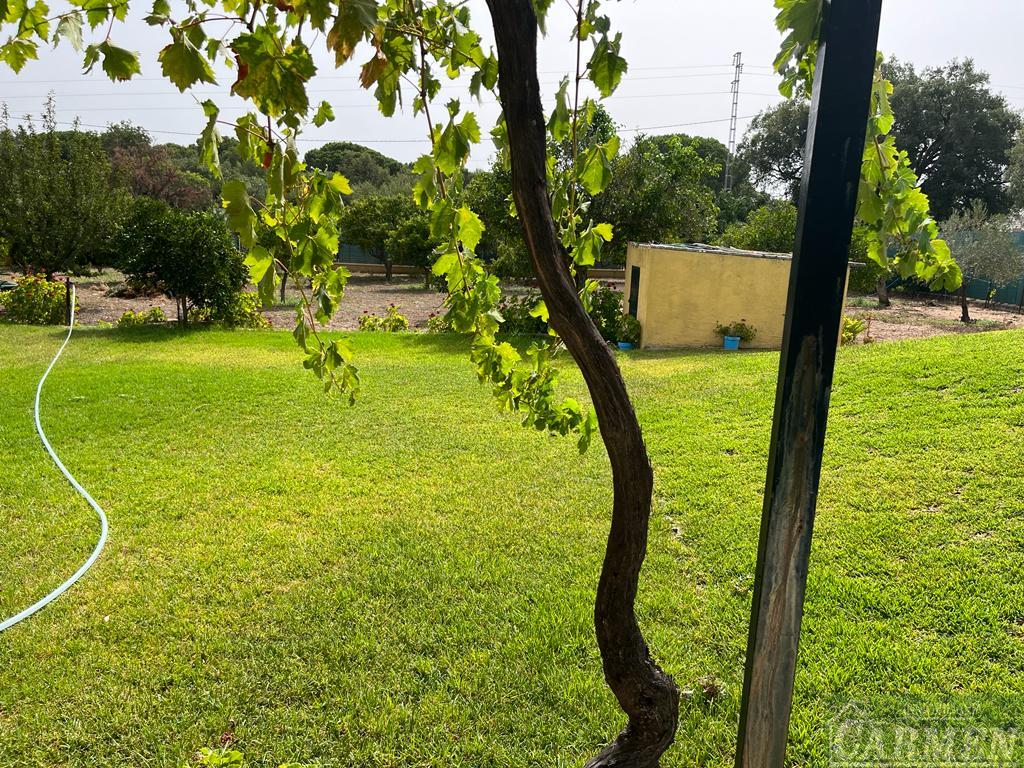 For sale of house in San José del Valle