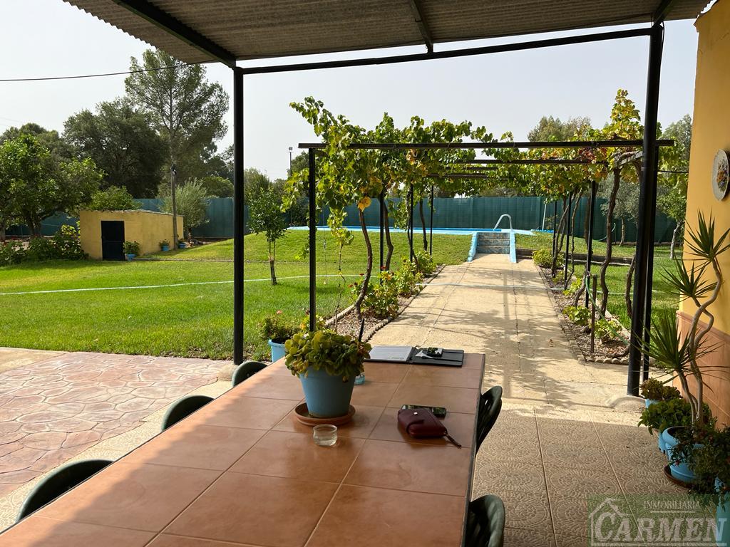 For sale of house in San José del Valle