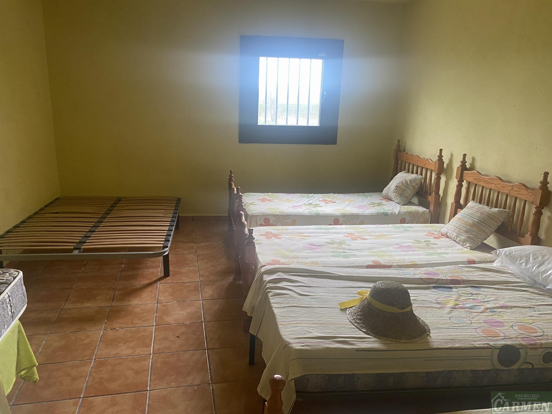 For sale of house in Jédula