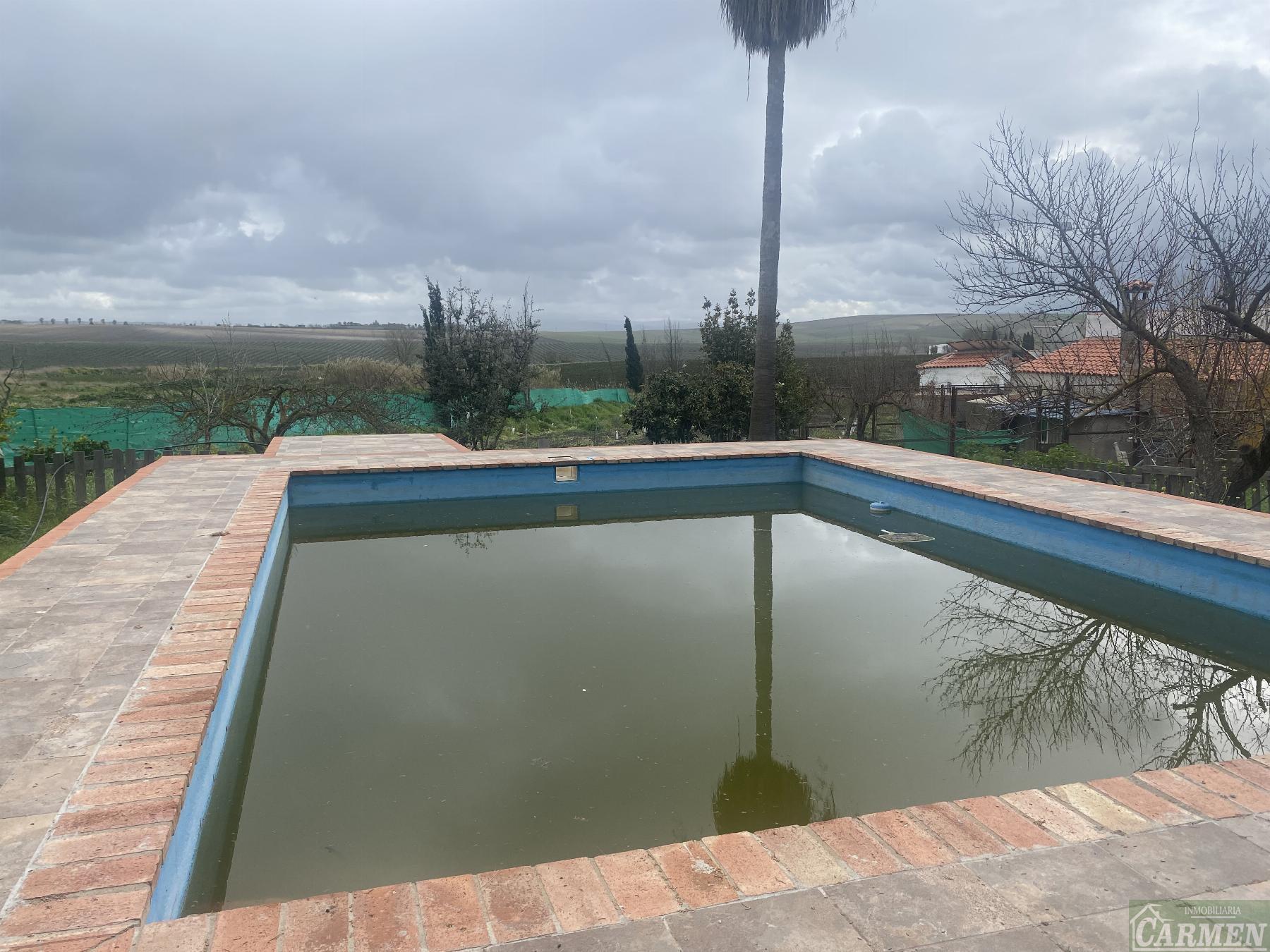 For sale of house in Jédula