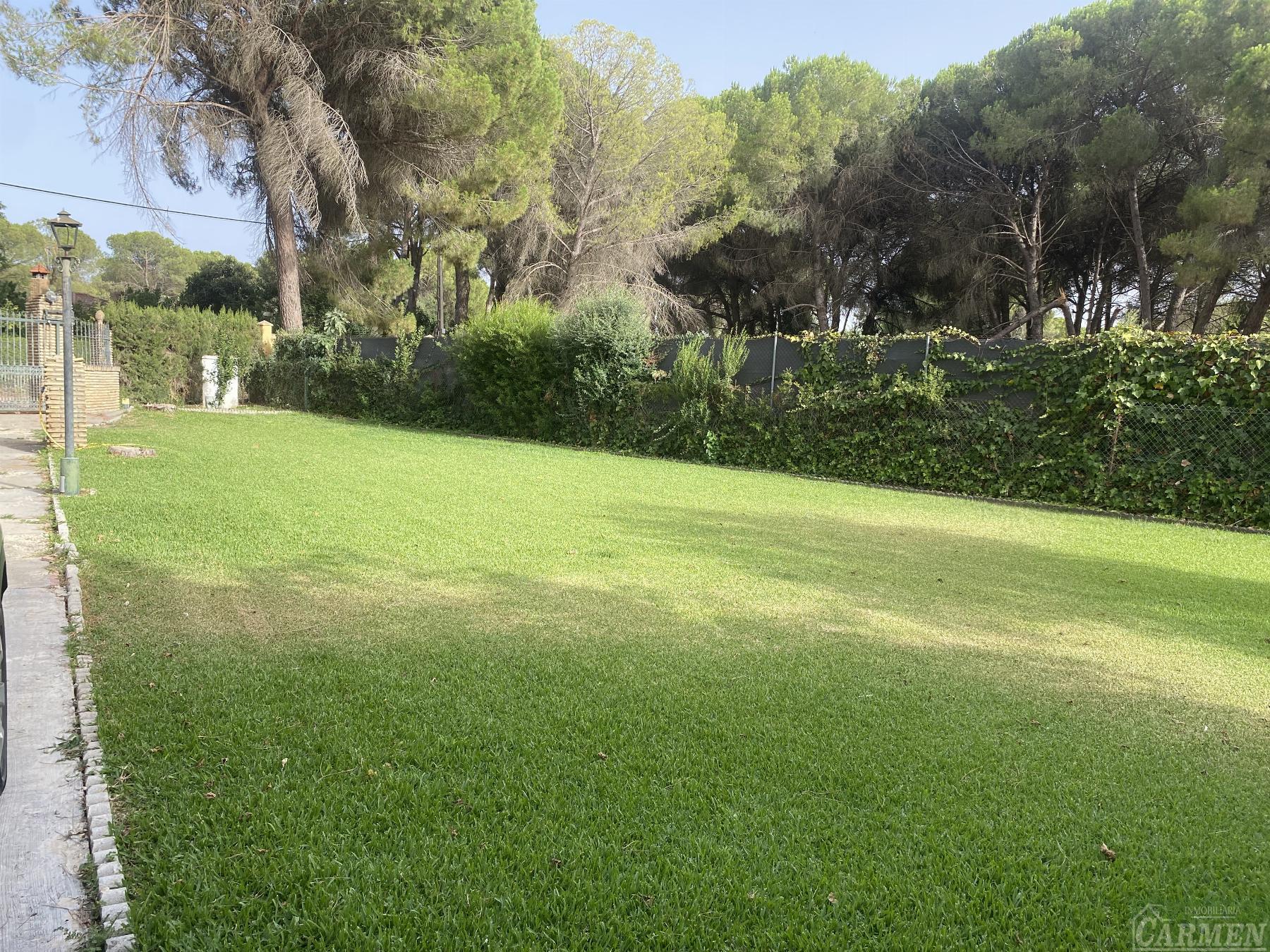 For sale of rural property in San José del Valle