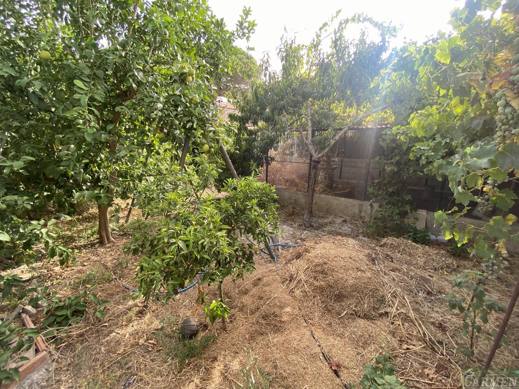 For sale of rural property in San José del Valle