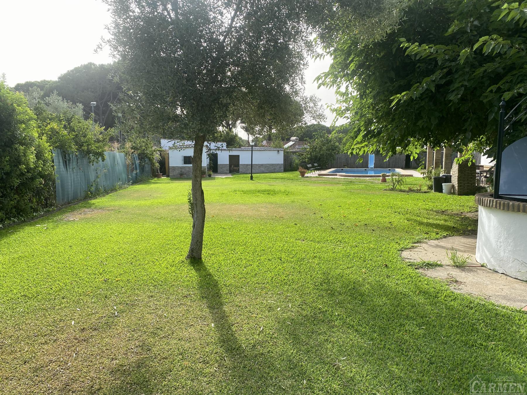 For sale of rural property in San José del Valle