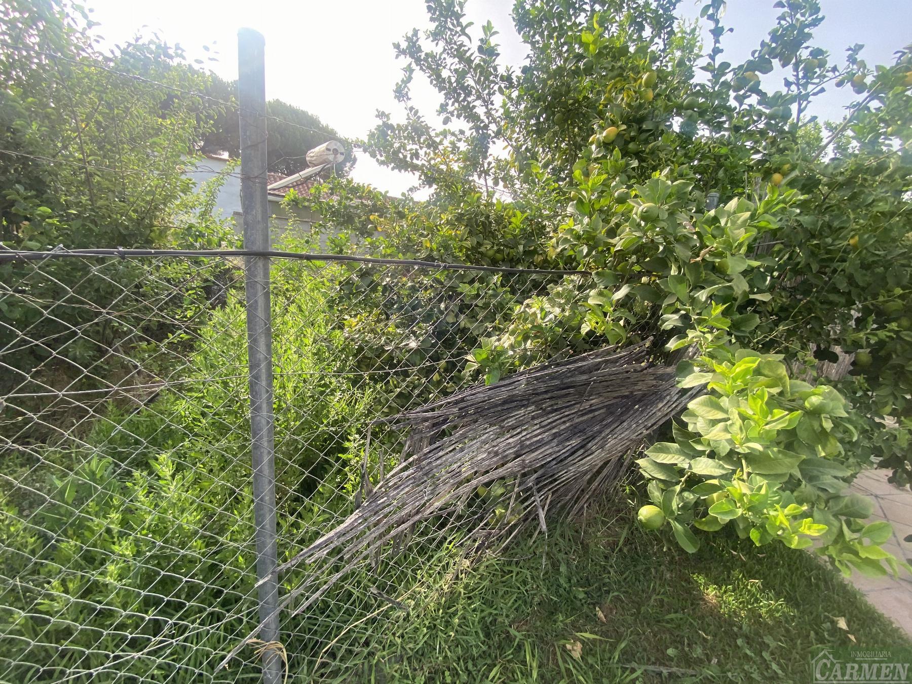 For sale of rural property in San José del Valle