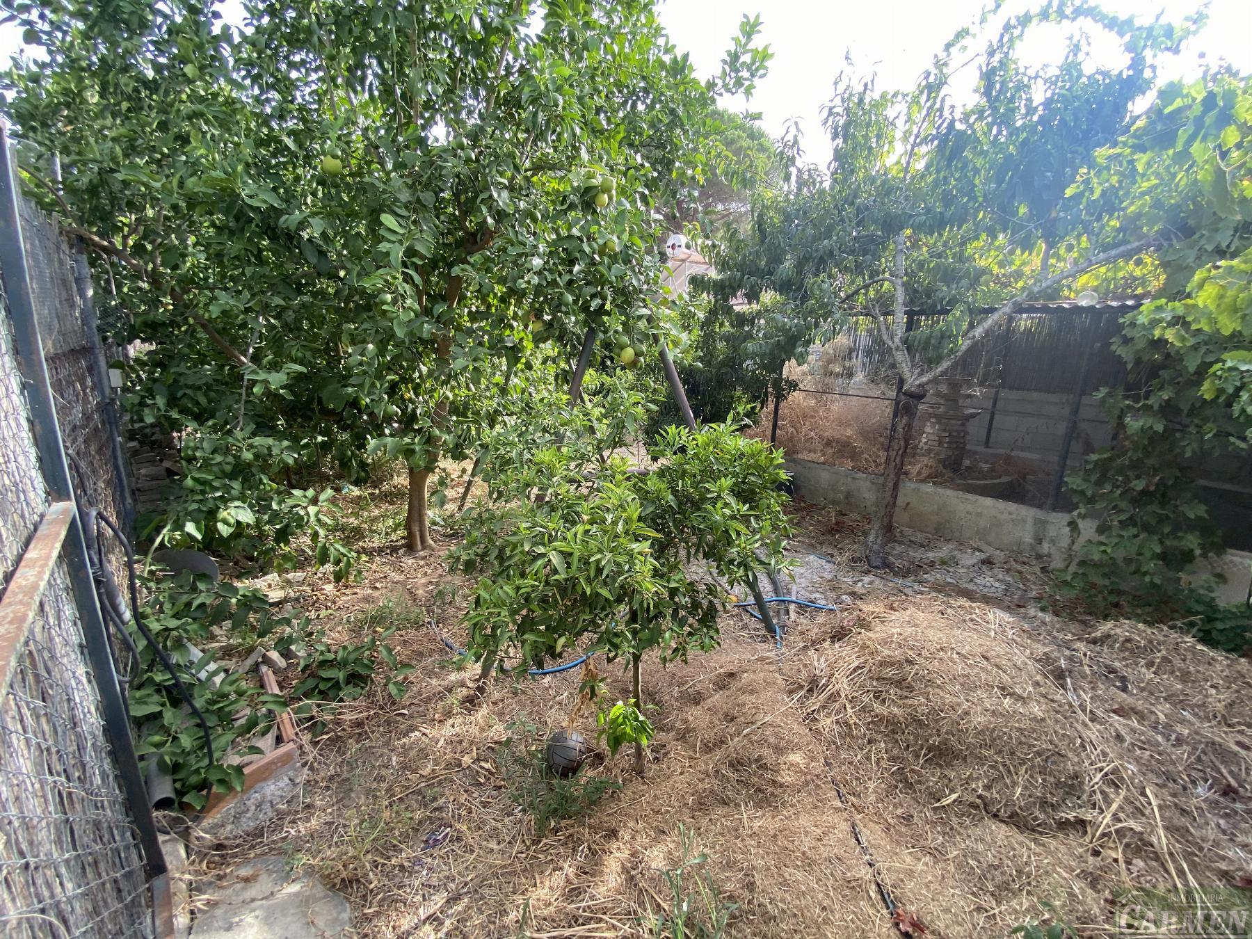 For sale of rural property in San José del Valle