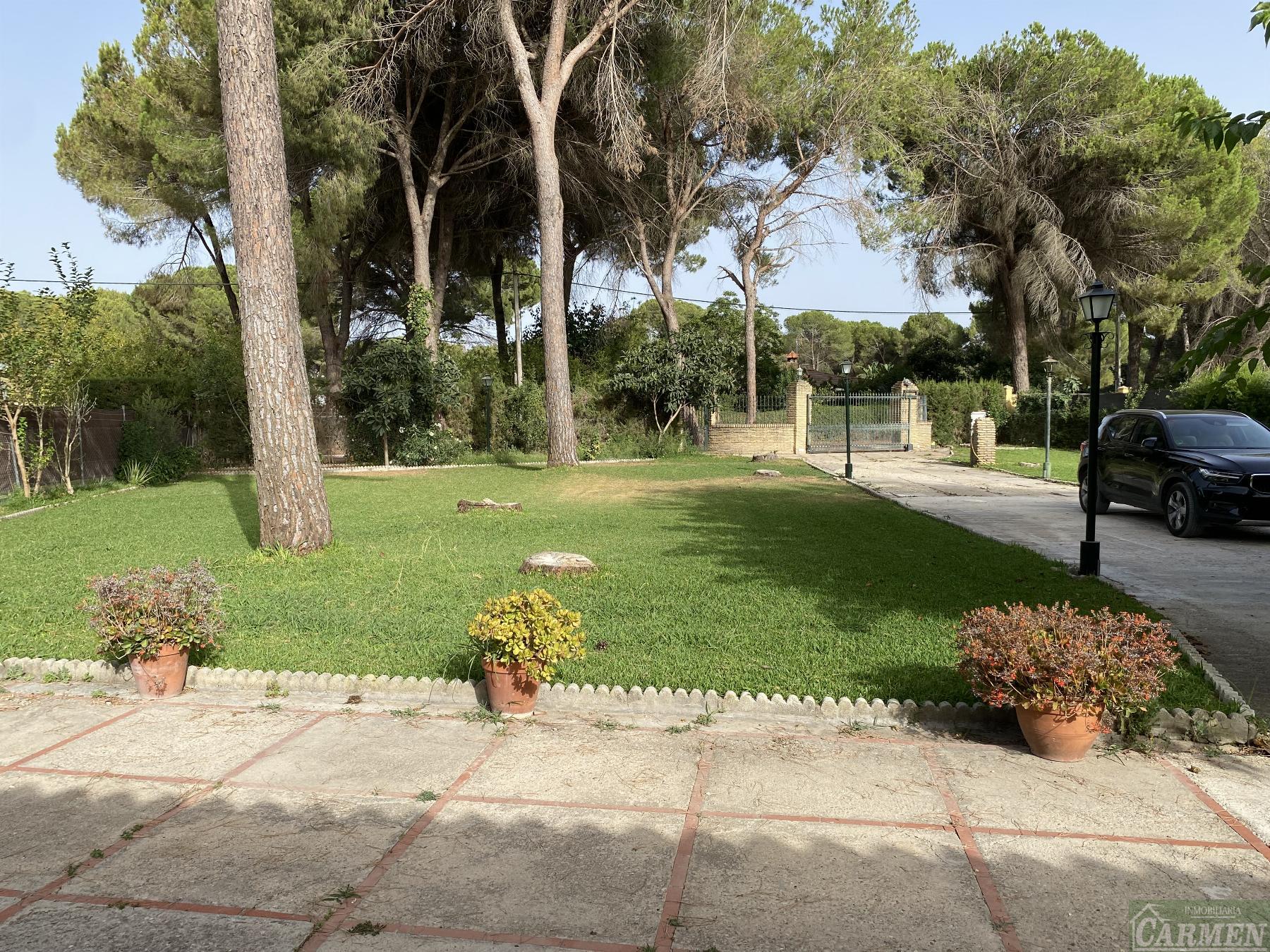 For sale of rural property in San José del Valle