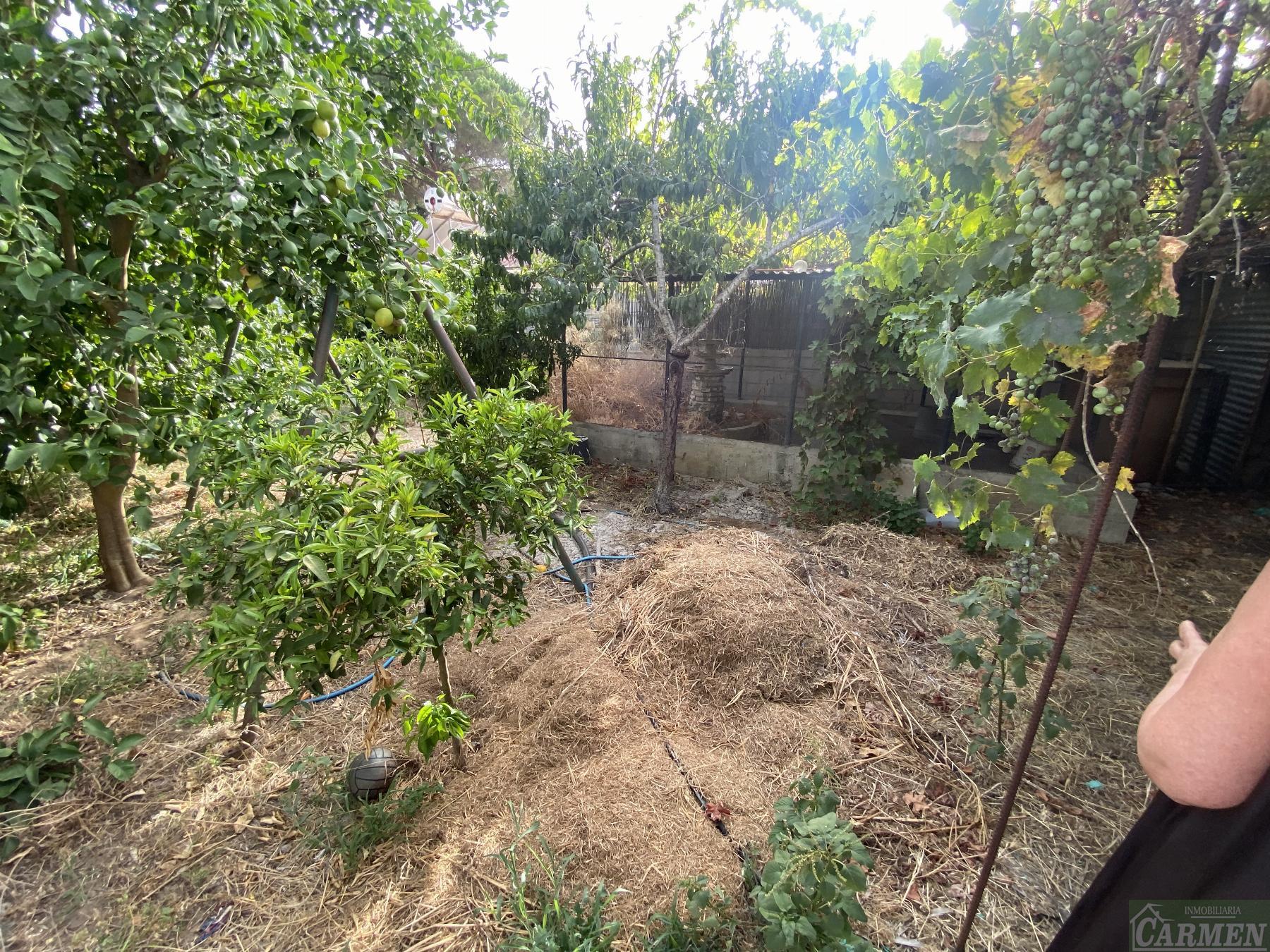 For sale of rural property in San José del Valle