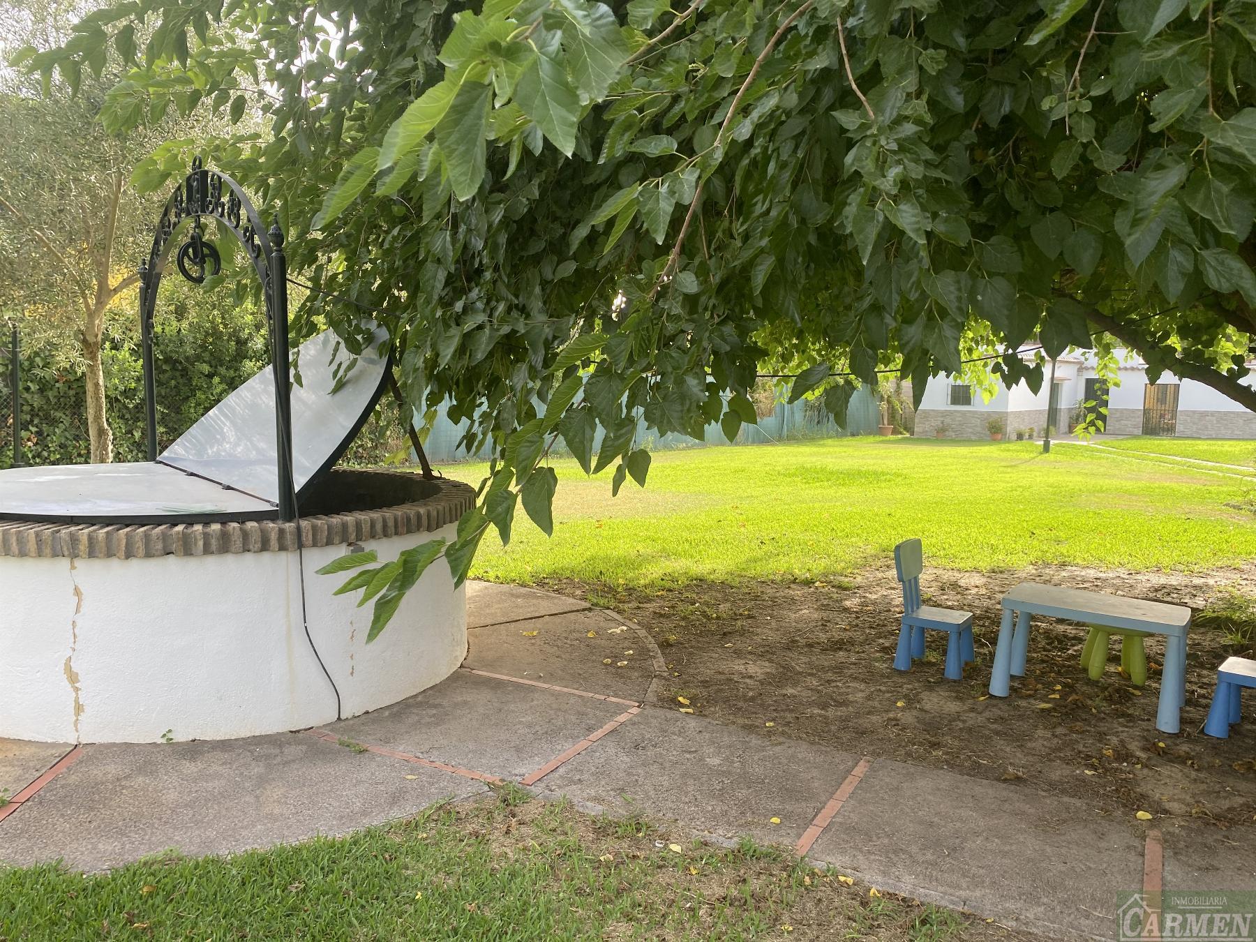 For sale of rural property in San José del Valle