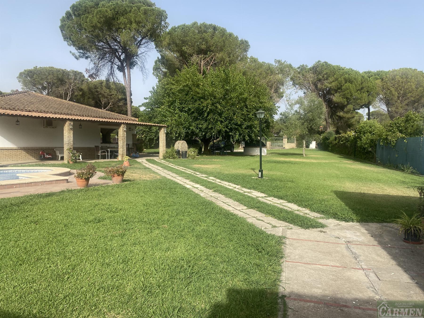 For sale of rural property in San José del Valle