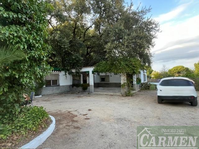 For sale of rural property in San José del Valle