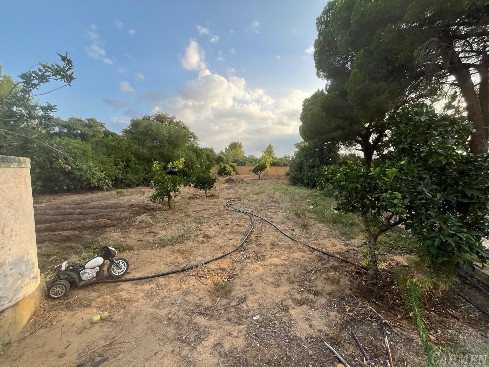 For sale of rural property in San José del Valle