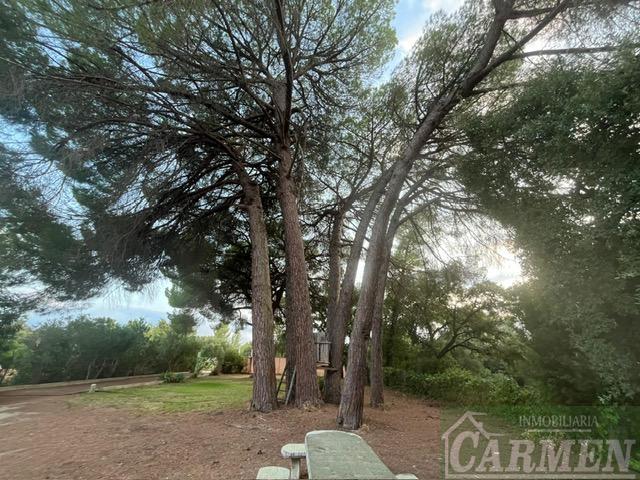 For sale of rural property in San José del Valle
