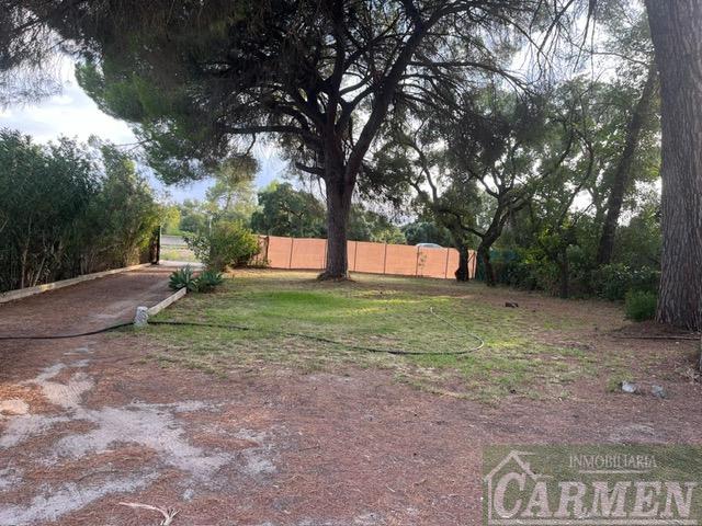 For sale of rural property in San José del Valle