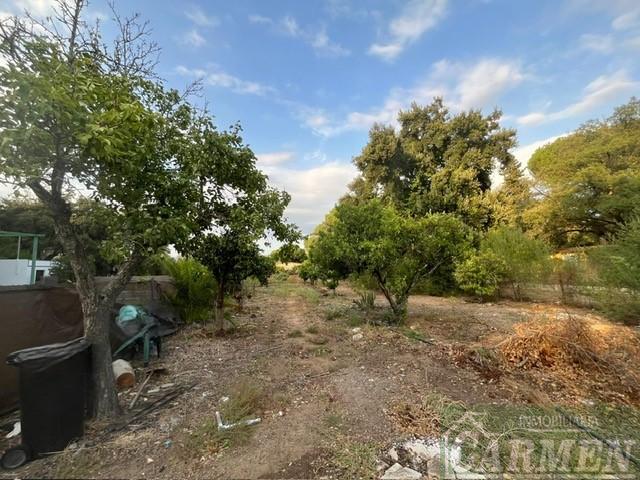 For sale of rural property in San José del Valle