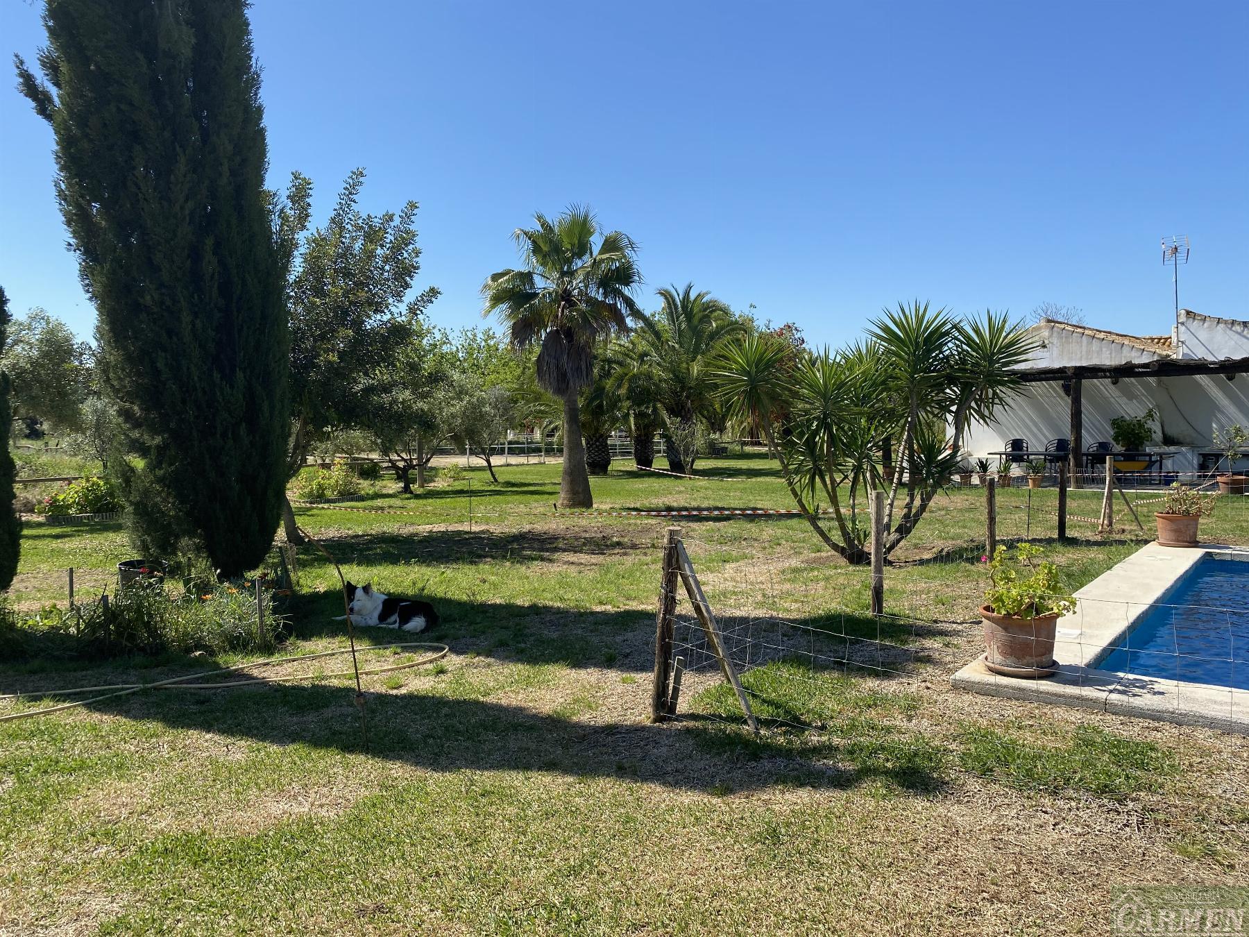 For sale of recreation property in Jerez de la Frontera
