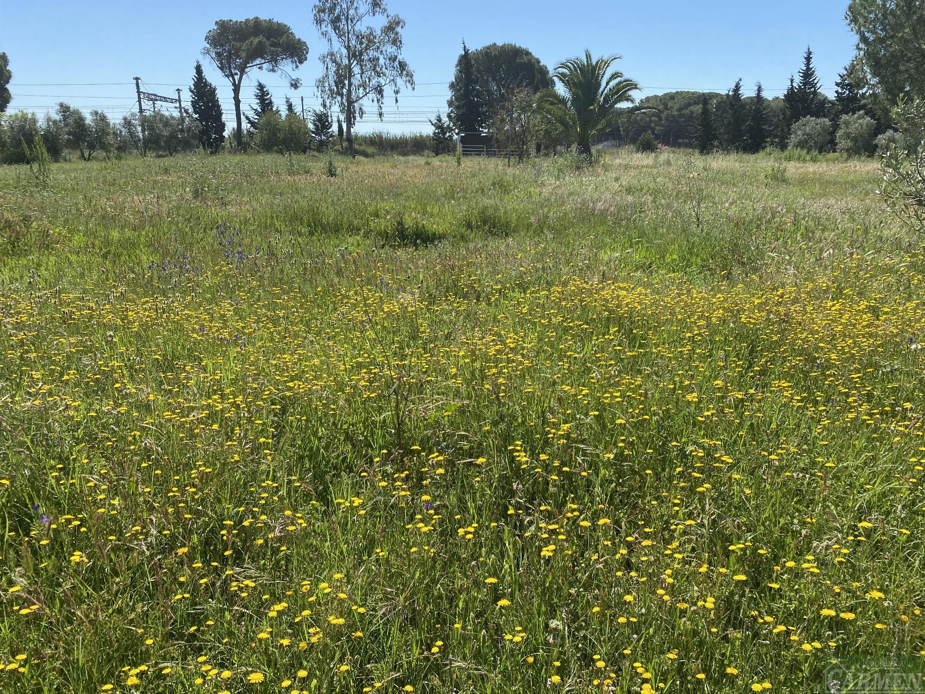 For sale of recreation property in Jerez de la Frontera