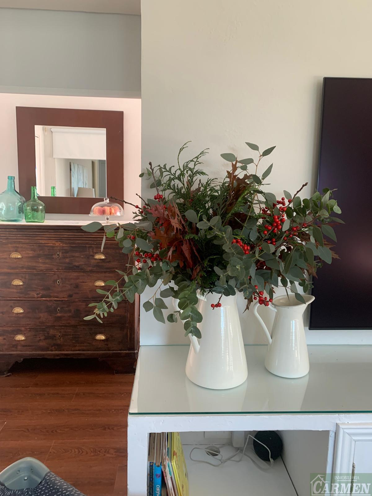 Venta de finca de recreo en El Bosque