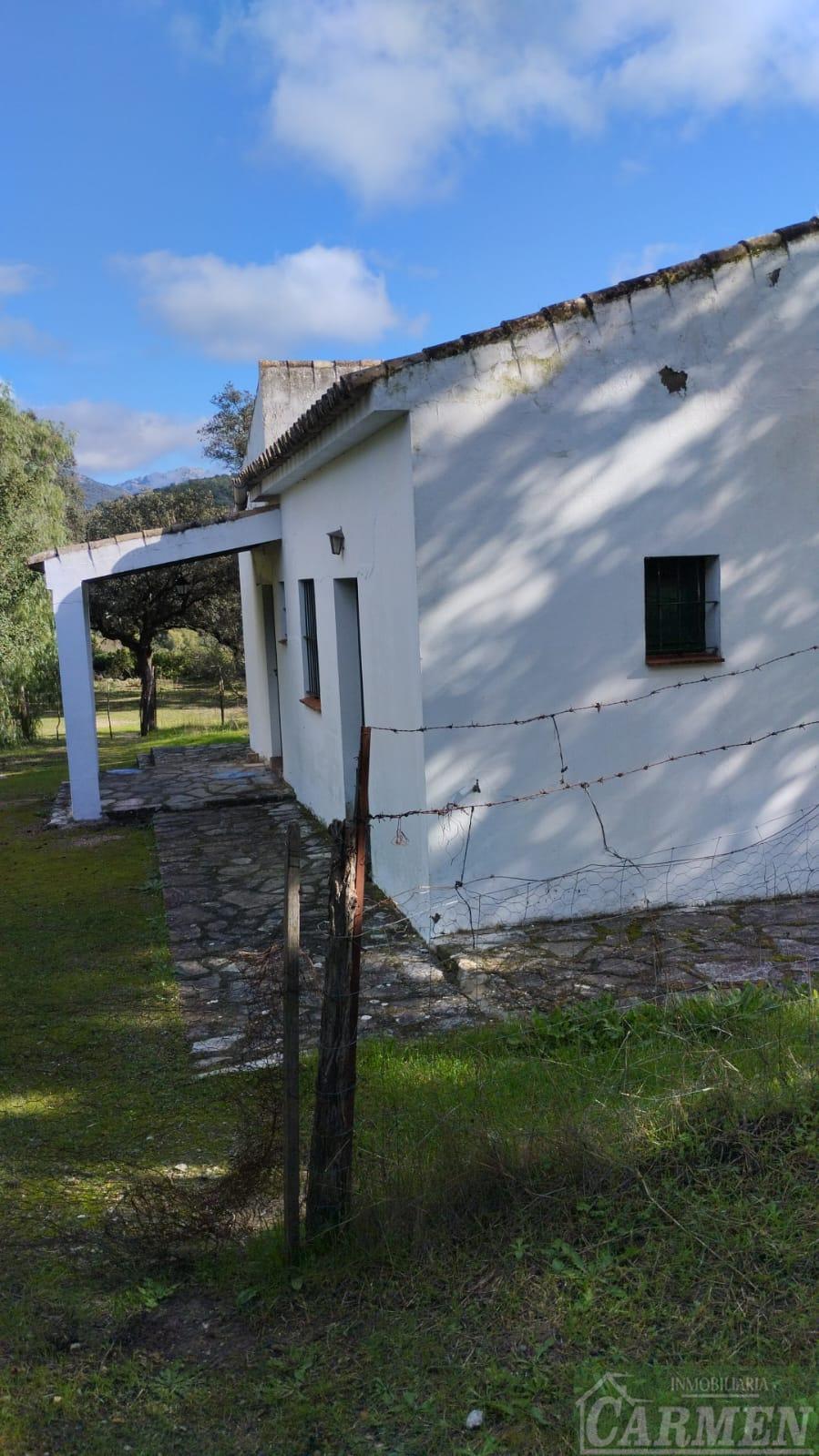 Venta de finca rústica en El Bosque