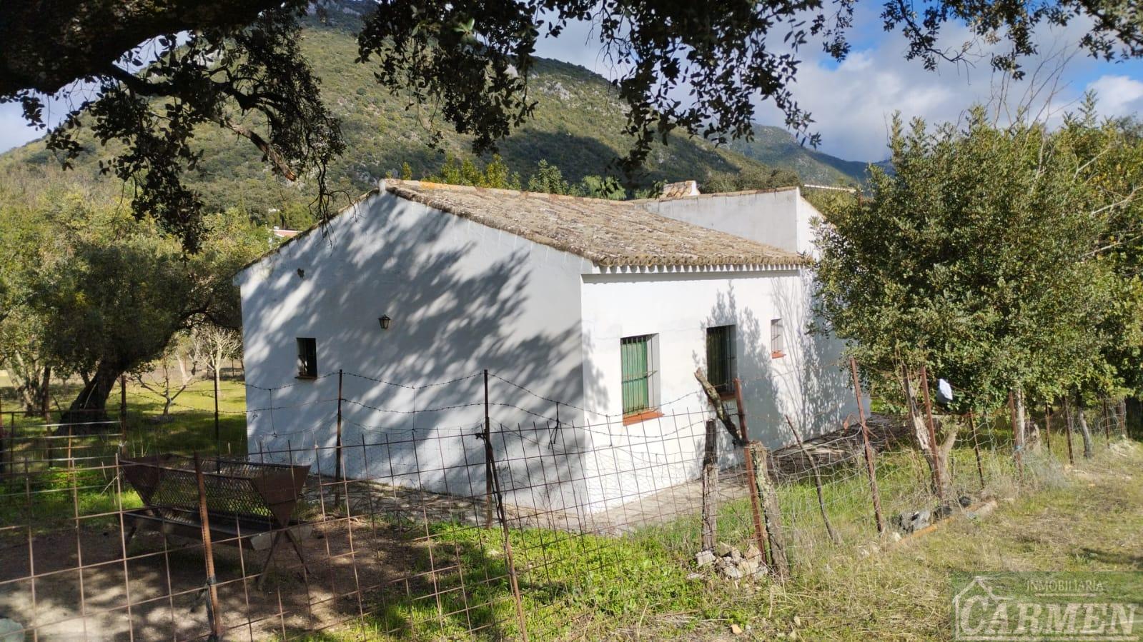 Venta de finca rústica en El Bosque