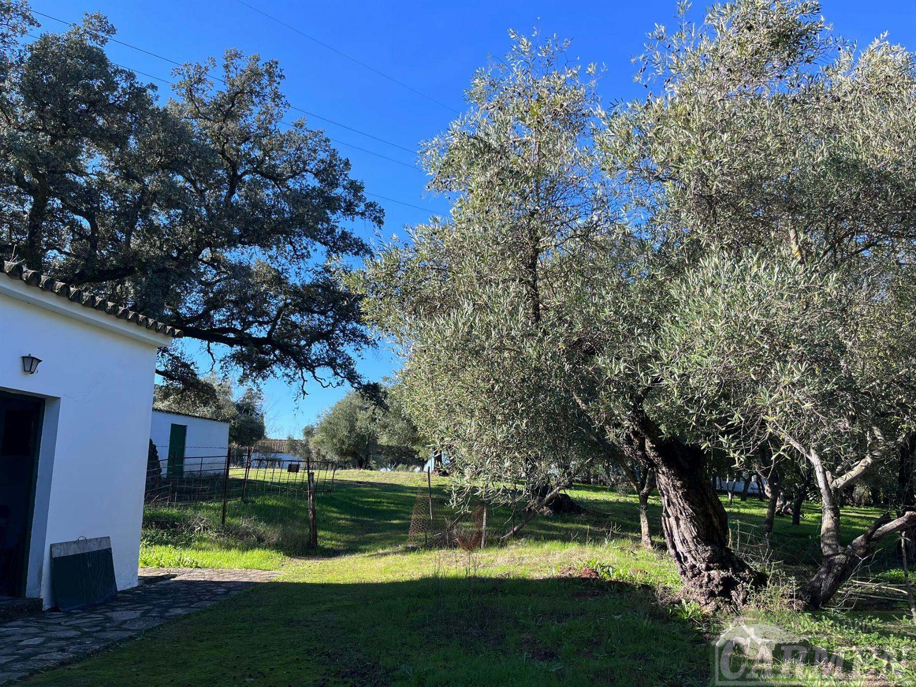 Venta de finca rústica en El Bosque