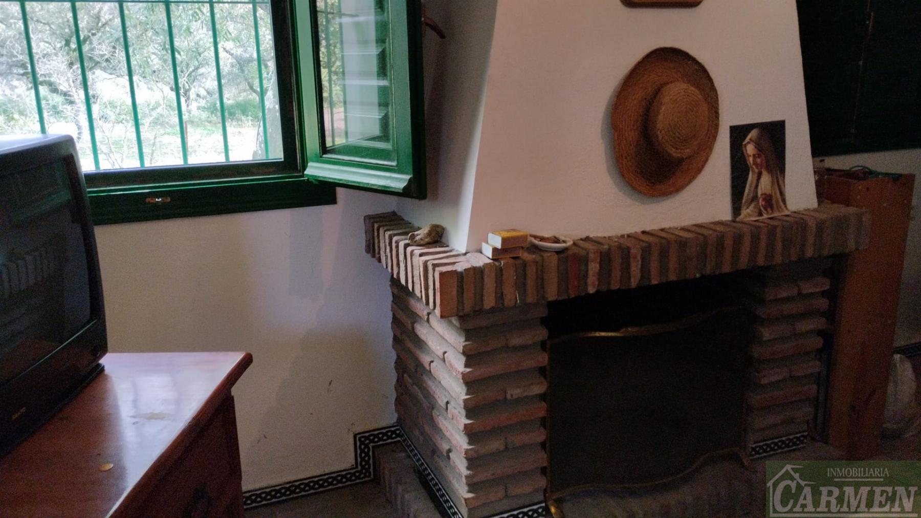 Venta de finca rústica en El Bosque