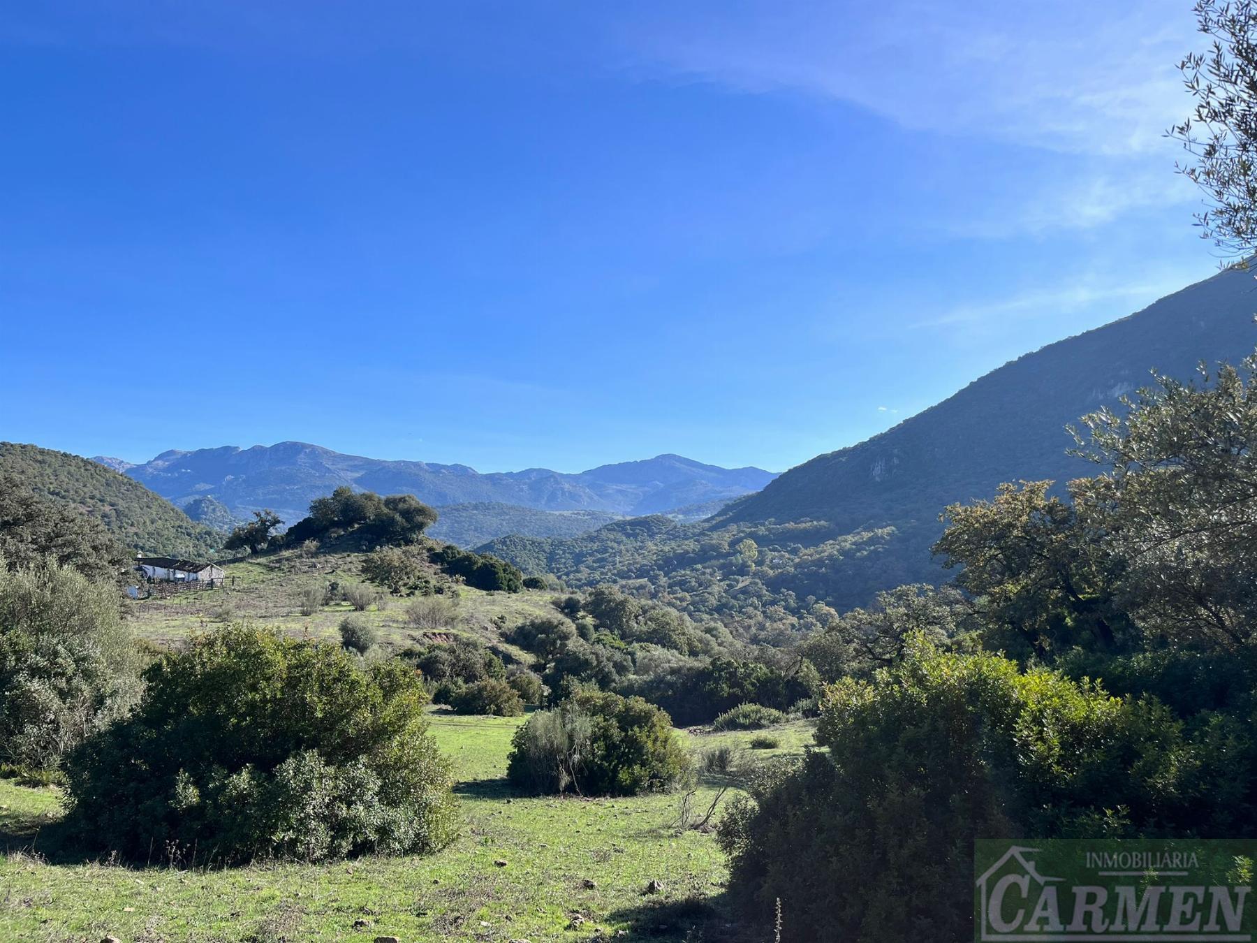 Venta de finca rústica en El Bosque
