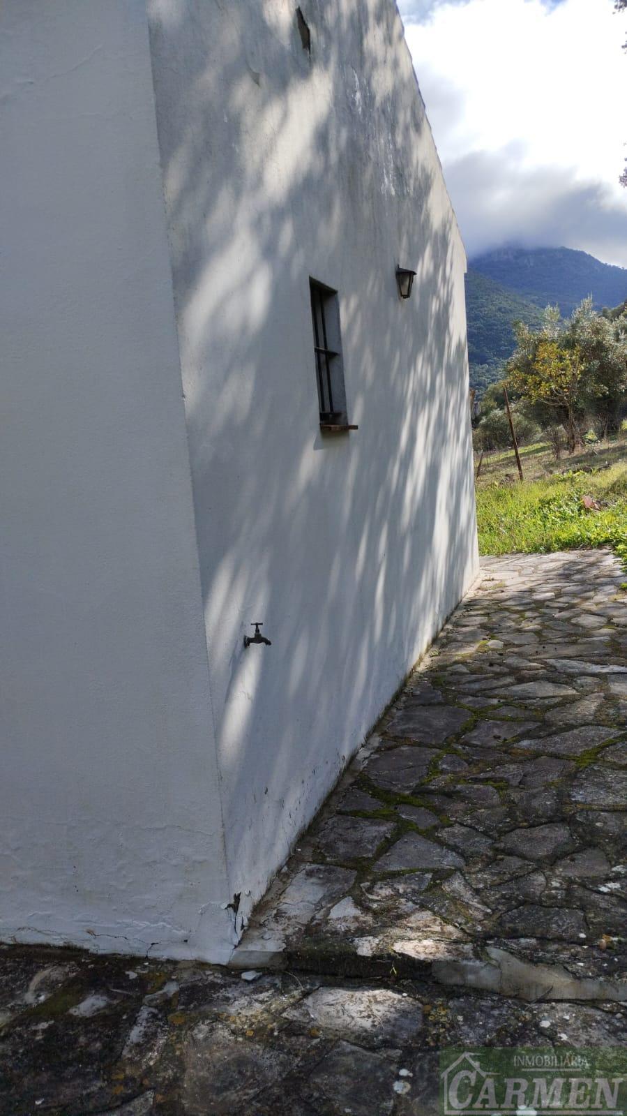 Venta de finca rústica en El Bosque