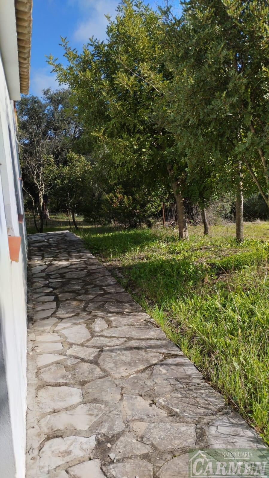 Venta de finca rústica en El Bosque