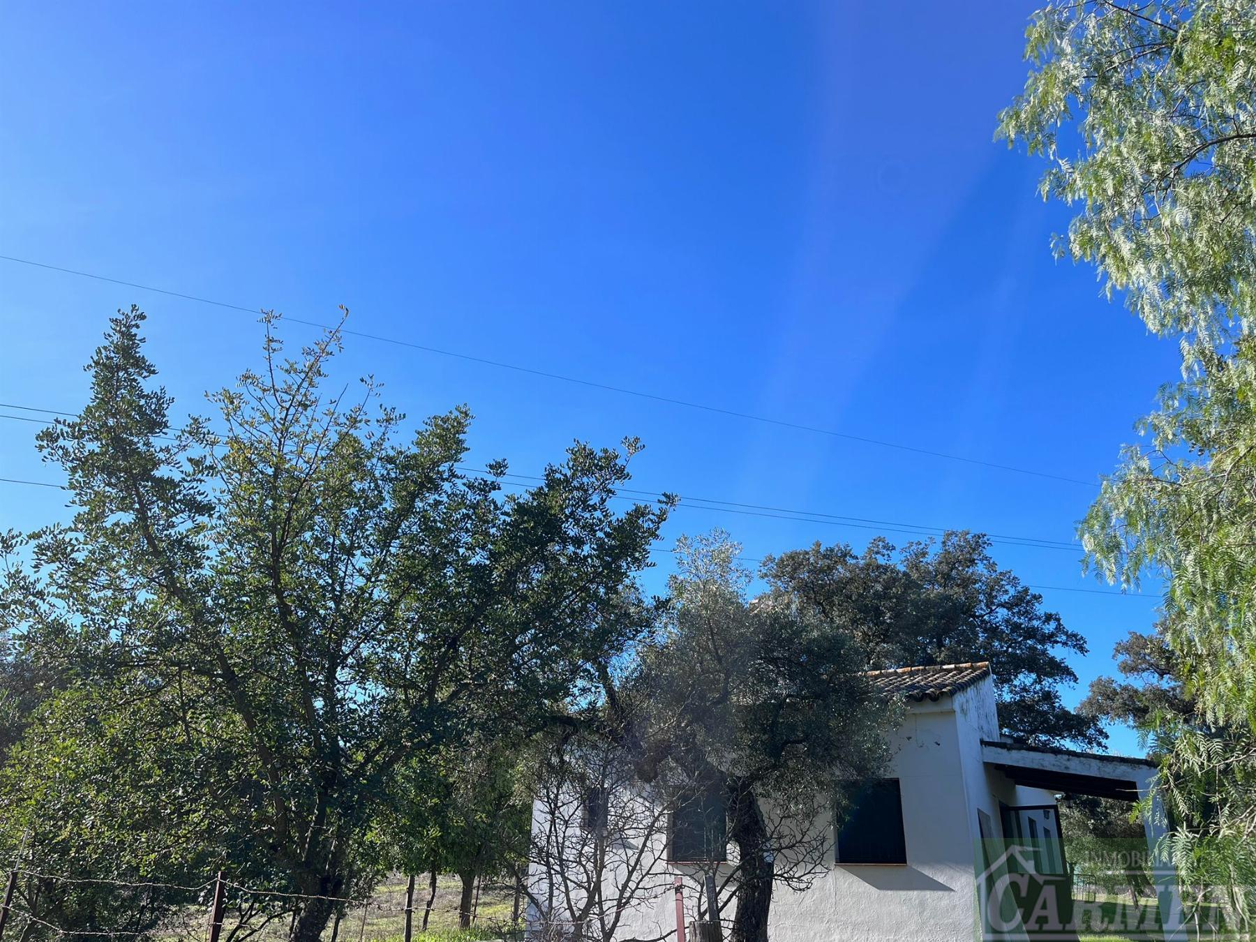 Venta de finca rústica en El Bosque