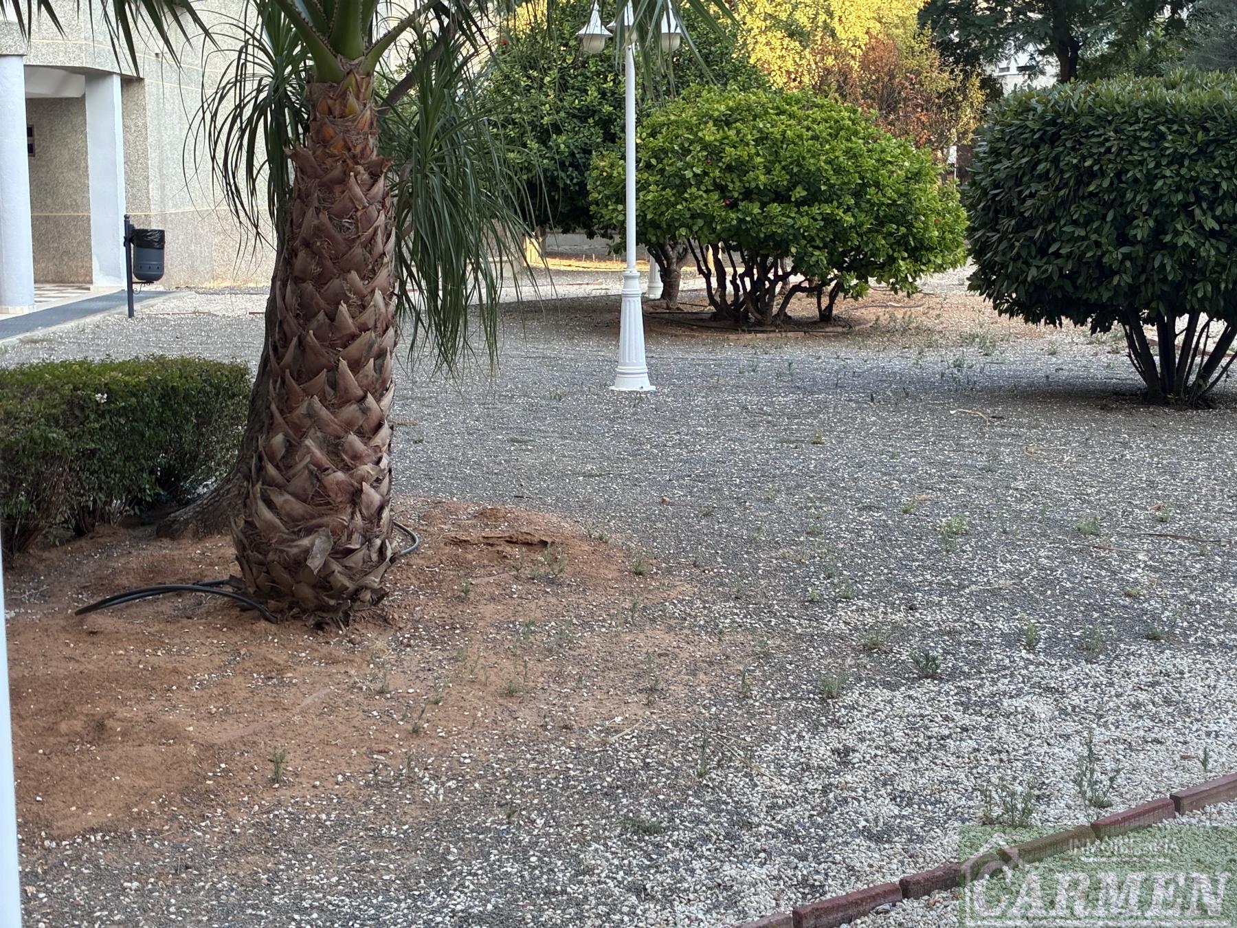 Venta de piso en Jerez de la Frontera