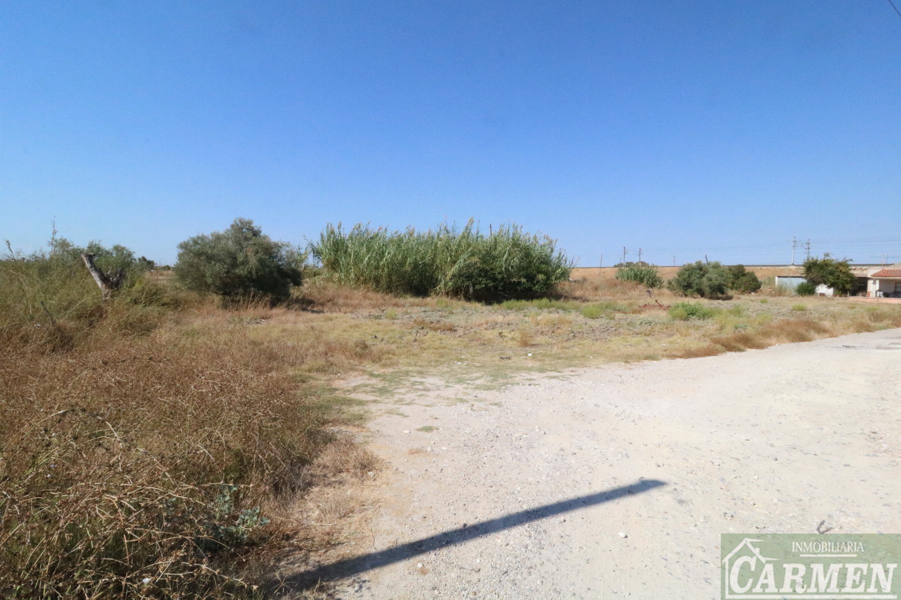Venta de casa en Jerez de la Frontera