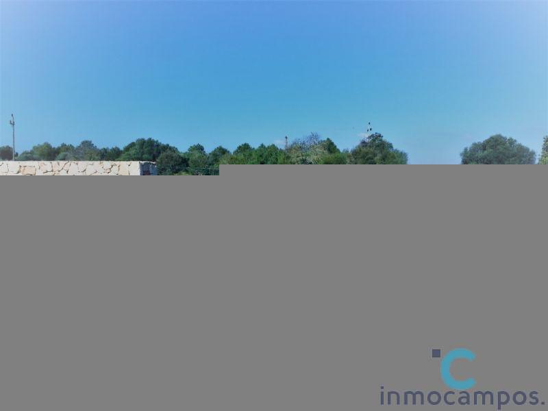 For sale of land in Campos