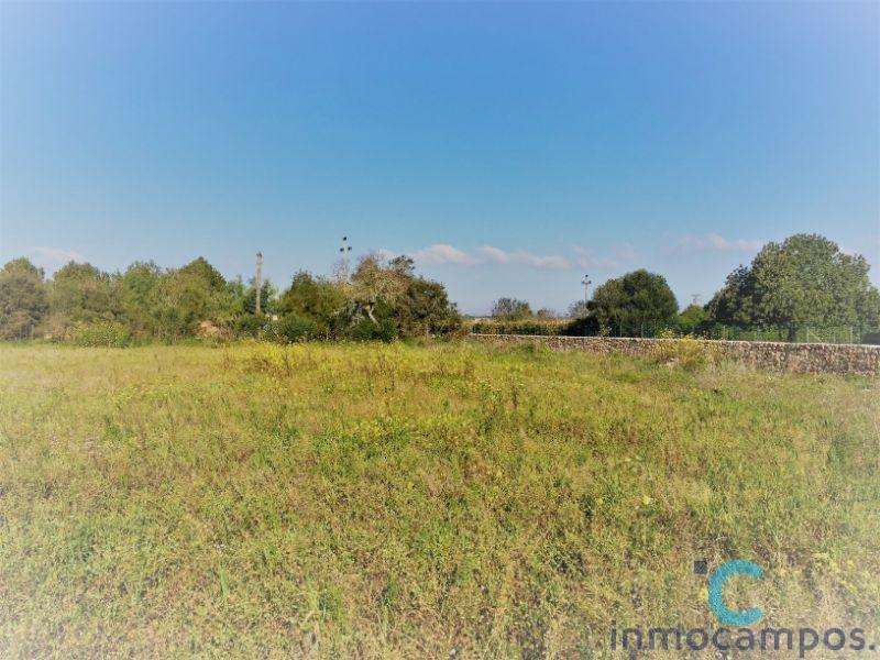 For sale of land in Campos