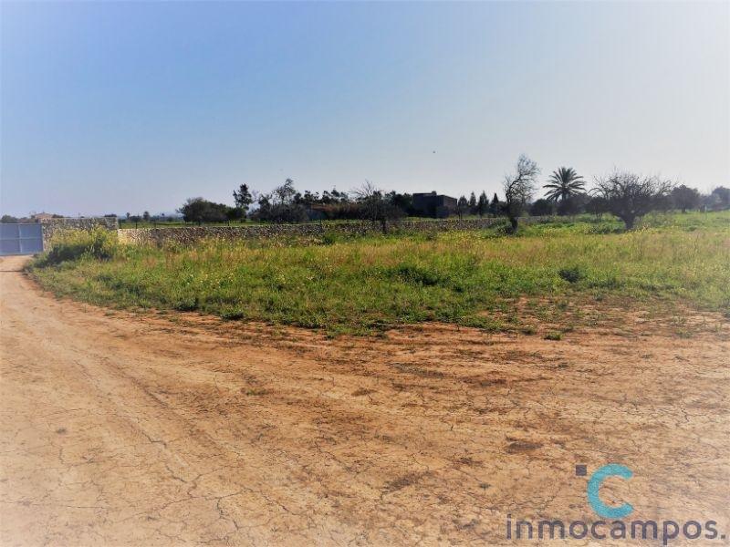 For sale of land in Campos