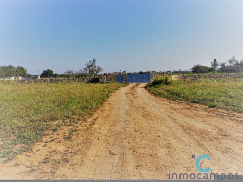 For sale of land in Campos